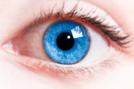 Göz Tansiyonu (Glokom): Belirtileri, Risk Faktörleri, Tanısı ve Tedavisi